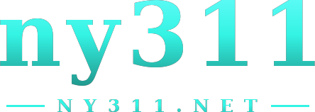 ny311 logo